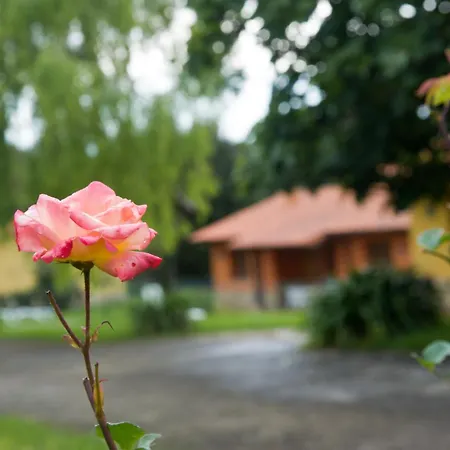 Complejo Rural El Mirador De Ovio