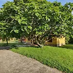 Holiday home Complejo Rural El Mirador De Ovio *