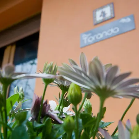 Complejo Rural El Mirador De Ovio 別荘